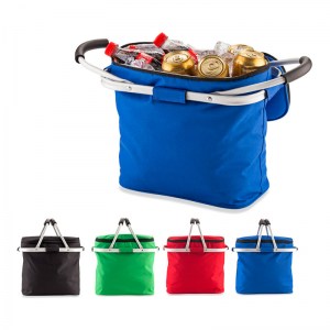 Nevera Cooler bag Picnic VA-560